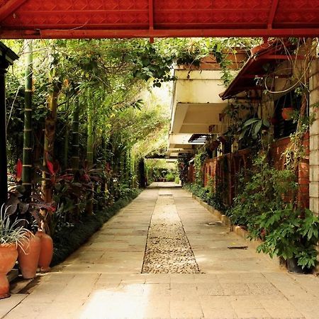 העיר בנגלור The Green Path Eco Hotel מראה חיצוני תמונה